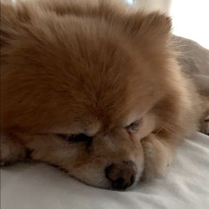 Meet your Posher, Kris